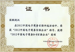 北京國聯(lián)視訊信息技術(shù)股份榮獲“2012中國電子商務(wù)百強企業(yè)”稱號，引領(lǐng)企業(yè)信息技術(shù)咨詢服務(wù)新浪潮